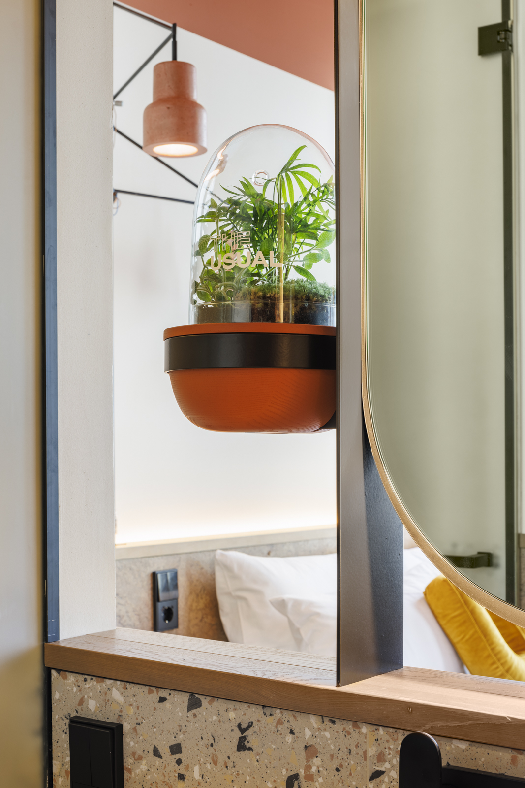 Our in room plant in dome