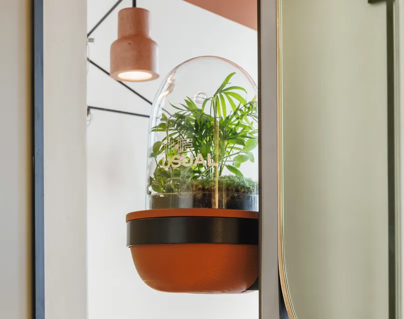 The Usual's In Room Plant Our in room plant in dome