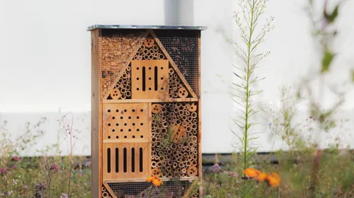 green roof insect hotel