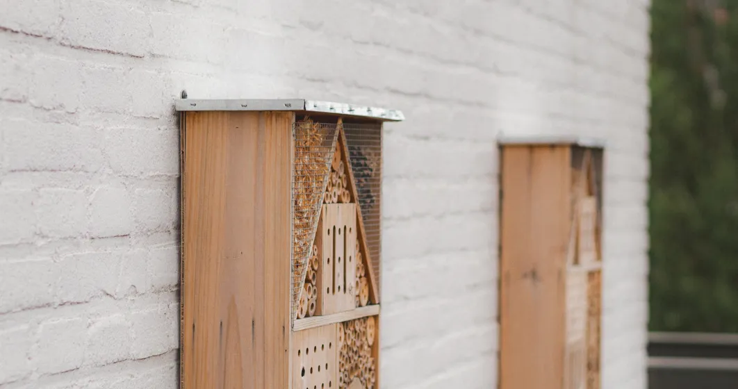 green roof insect hotels