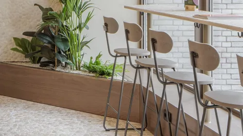 2024materdesignwvssmall