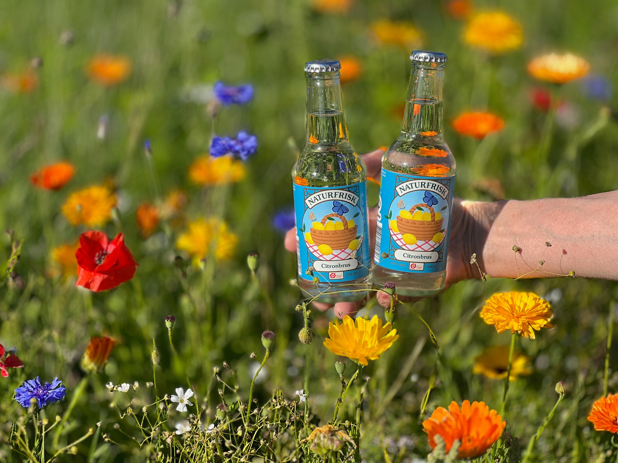 Naturfrisk Organic soda